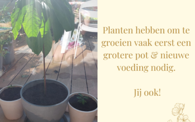 Ervaar jij voldoende voeding om te groeien?